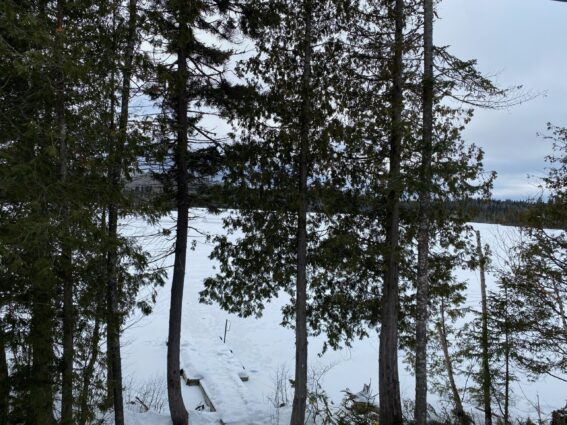 image7